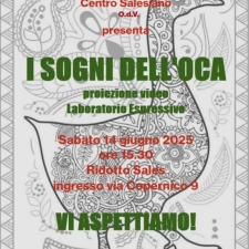 locandina I sogni dell'oca