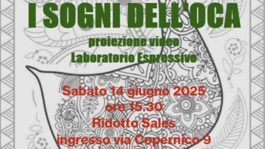 locandina I sogni dell'oca